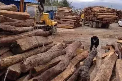 原木价格猛涨,红木家具反而降价了